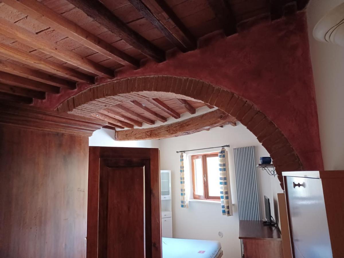 Grazioso Appartamento Pisa Sull'Arno 外观 照片